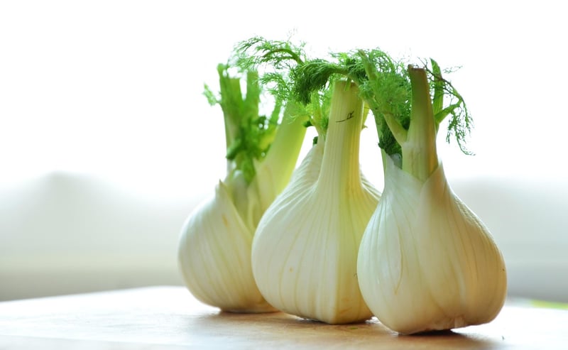 Orange and Fennel Salad